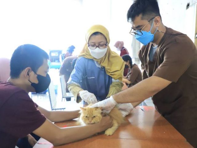 Cegah Rabies, Pemilik Hewan Peliharaan di Kota Tangerang Diimbau Rutin Lakukan Vaksinasi